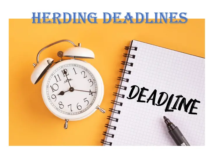 Herding Deadlines: A Project Manager’s Perspective