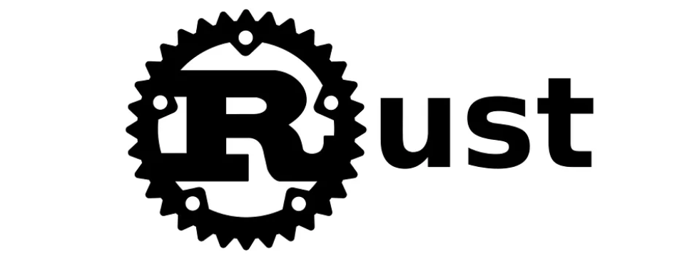 The Programming Language Rust