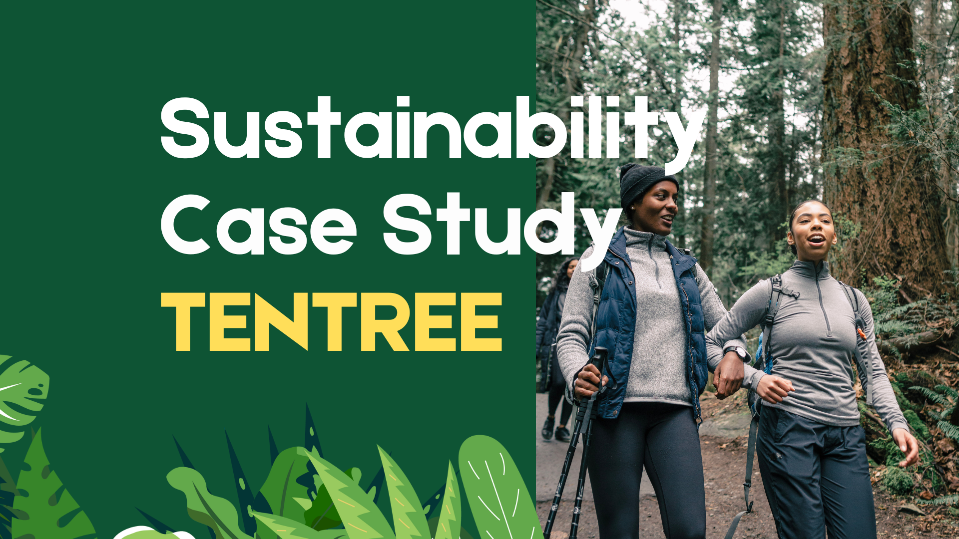 Sustainability at TENTREE – A case study