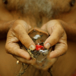 sarvapitri amavasya