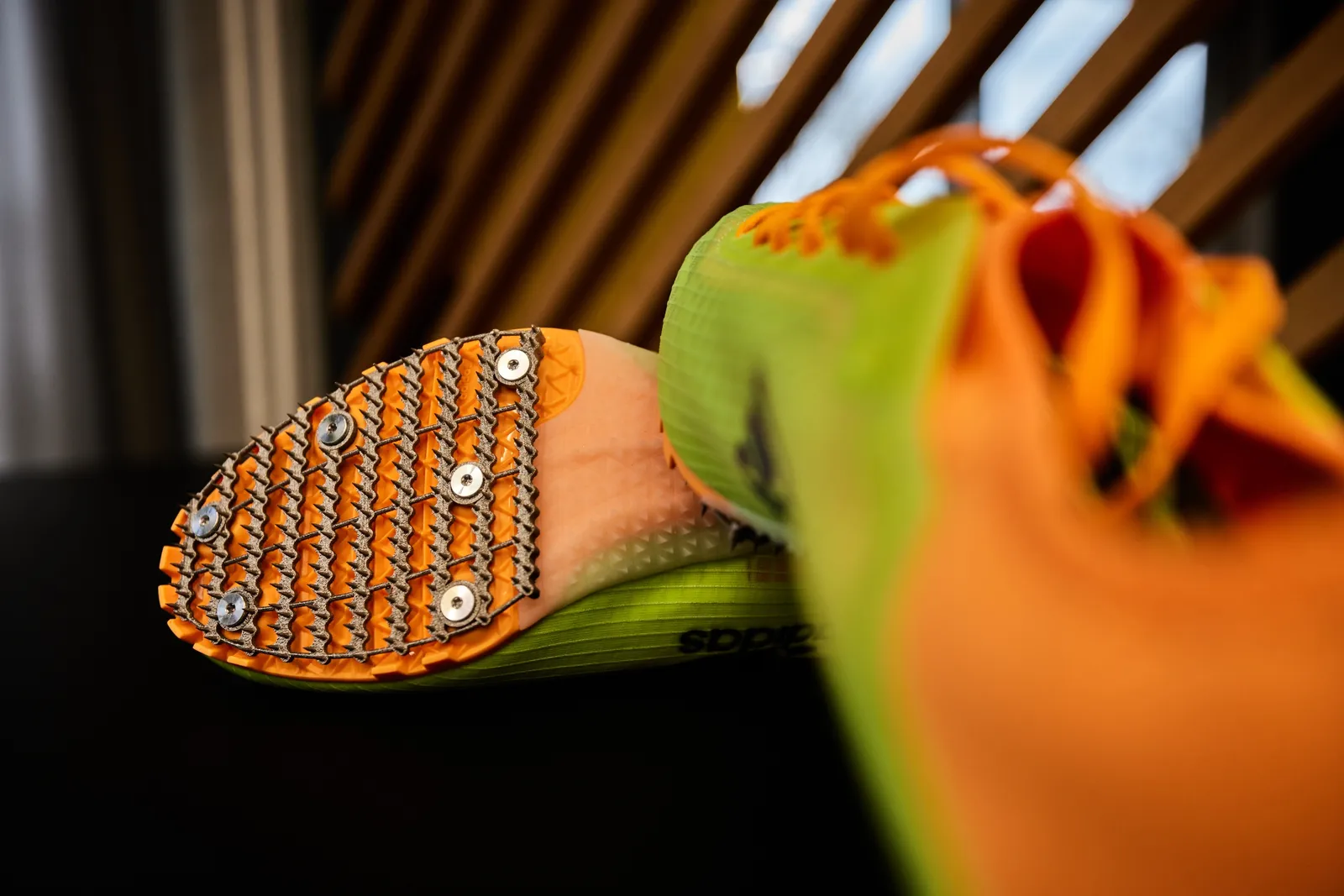 Image may contain indoor and interior design