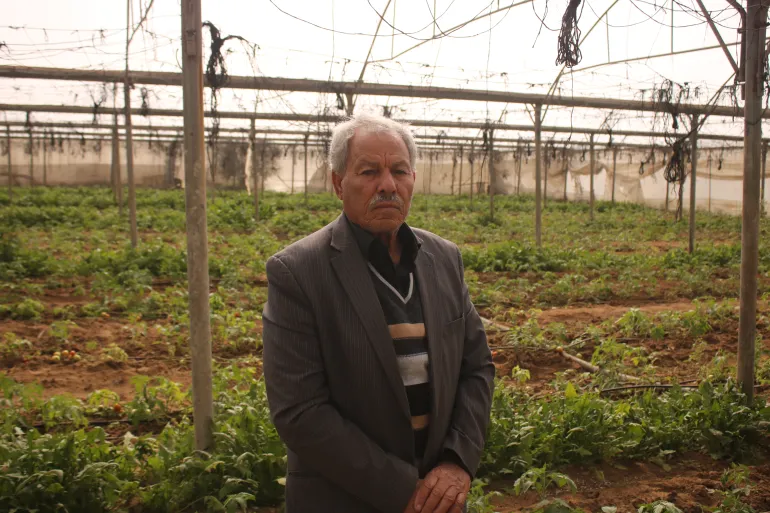 Eid al-Taaban stands in his greenhouse