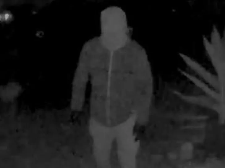 Nancy Guthrie Suspect Ring Cam 4