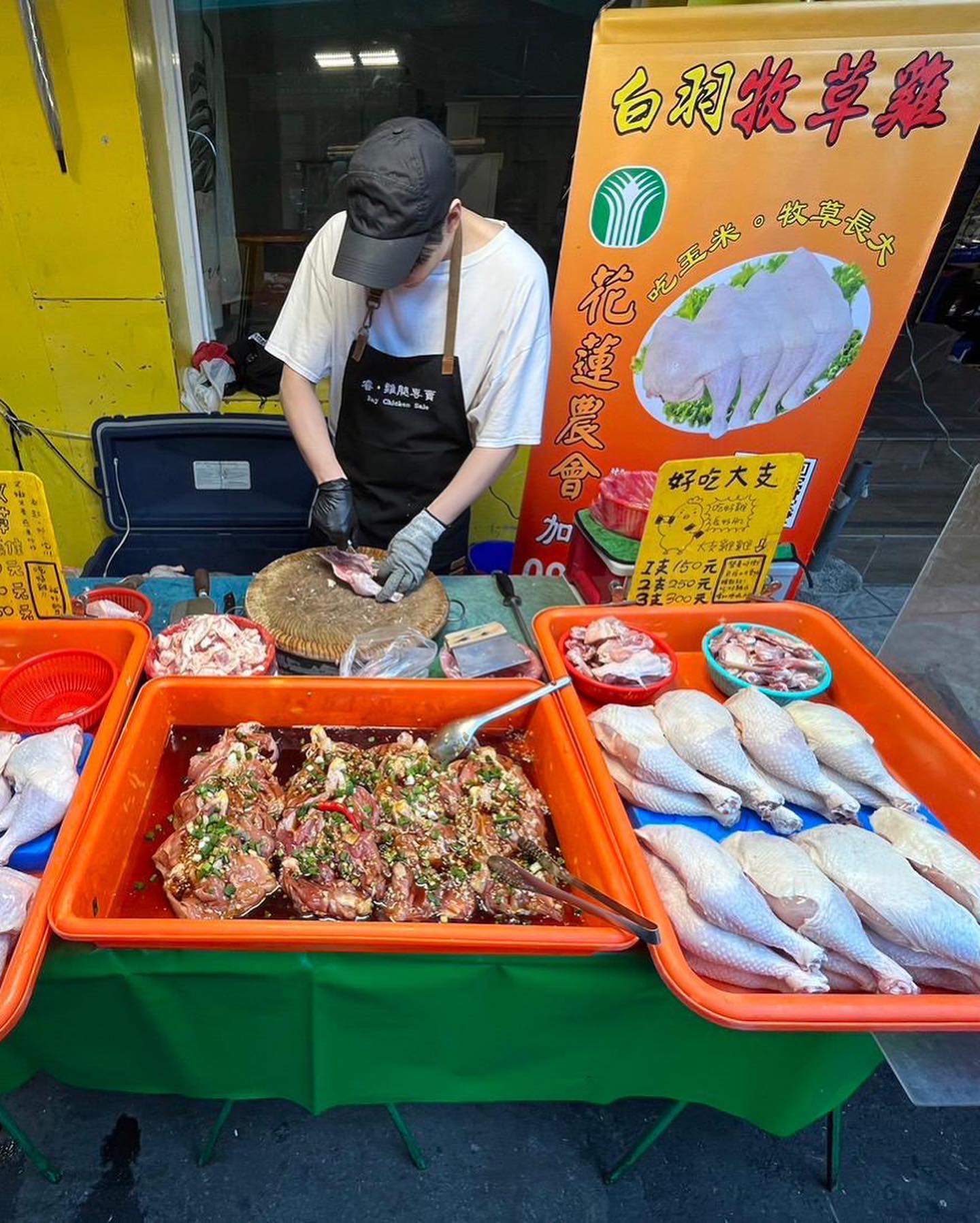 krisshen_417810694_886437036513460_4333615360054381219_n