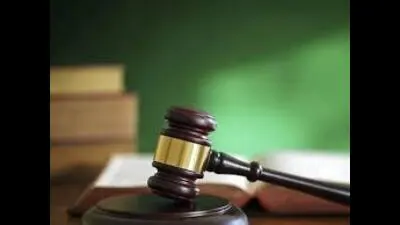 Both claimants are also entitled to interest at the rate of 6% per annum from the date of filing of the petitions till the realization of the amount. (HT file)