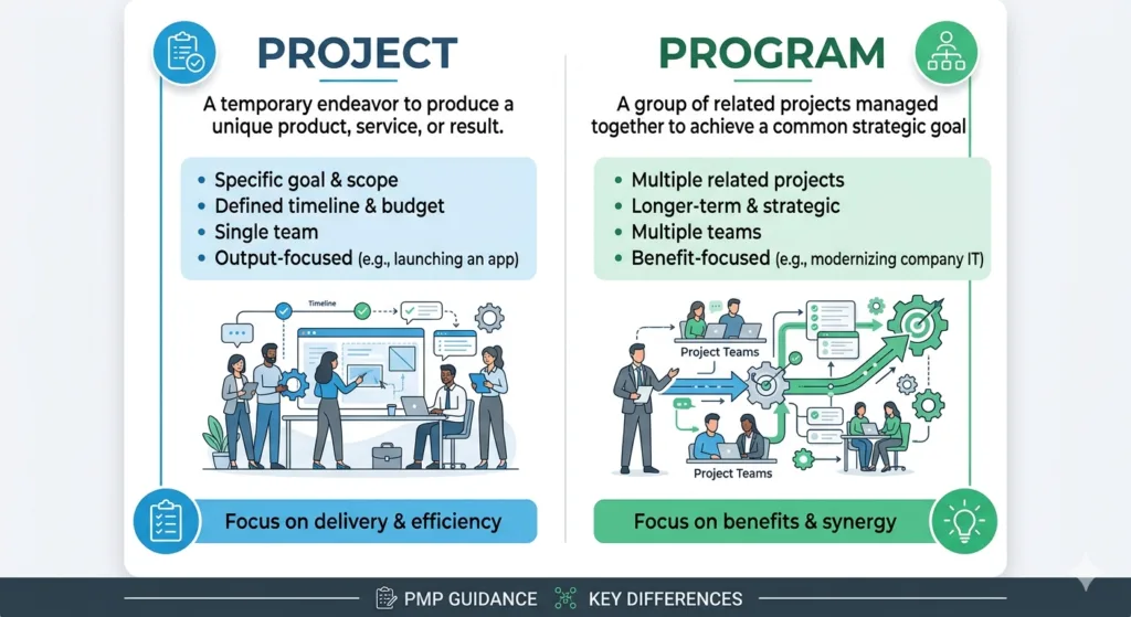 What is the Difference Between a Program and a Project?